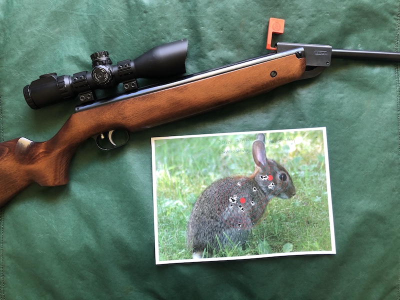 Name:  Weihrauch HW95 and rabbit target 800.jpeg
Views: 1970
Size:  190.4 KB