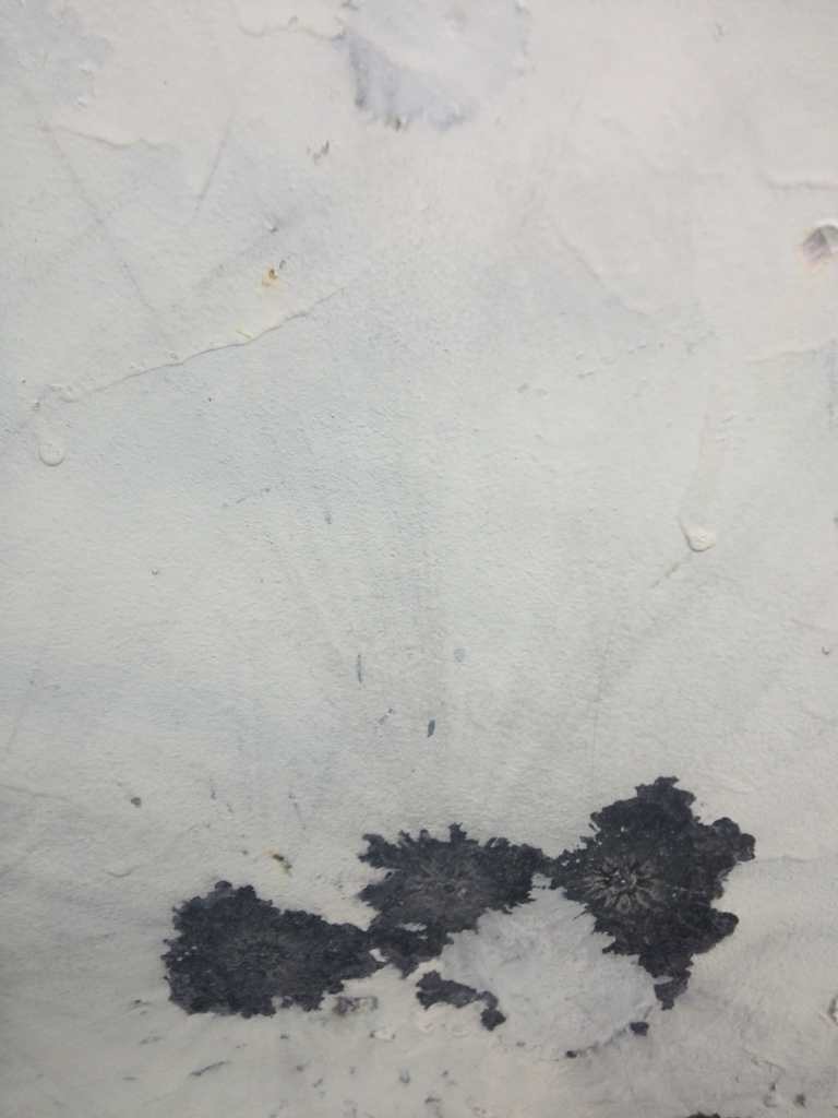 Name:  ImageUploadedByTapatalk1383723376.483733.jpg
Views: 1575
Size:  69.0 KB