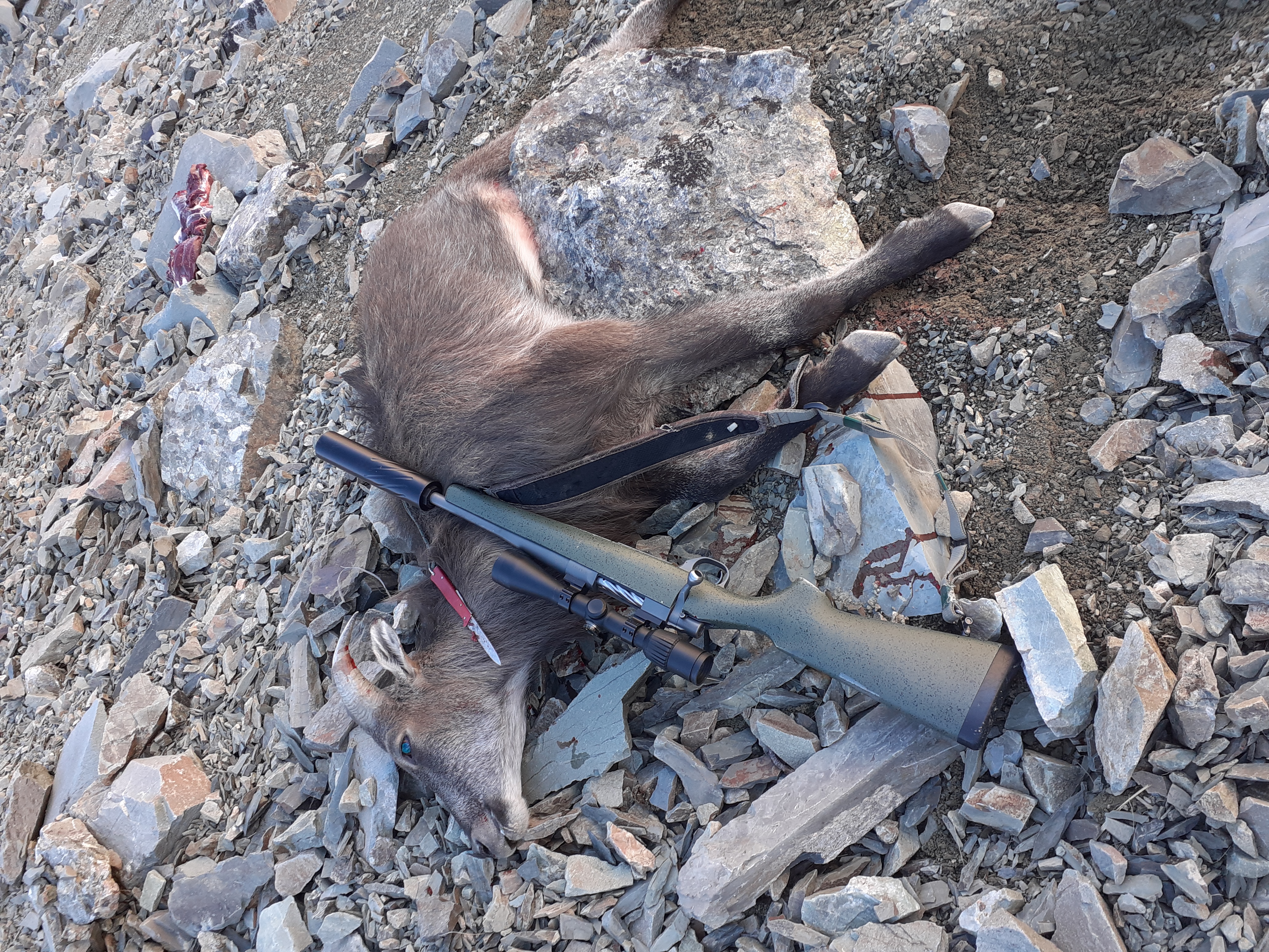 Name:  Short Howa and Tahr.jpg
Views: 1046
Size:  6.82 MB