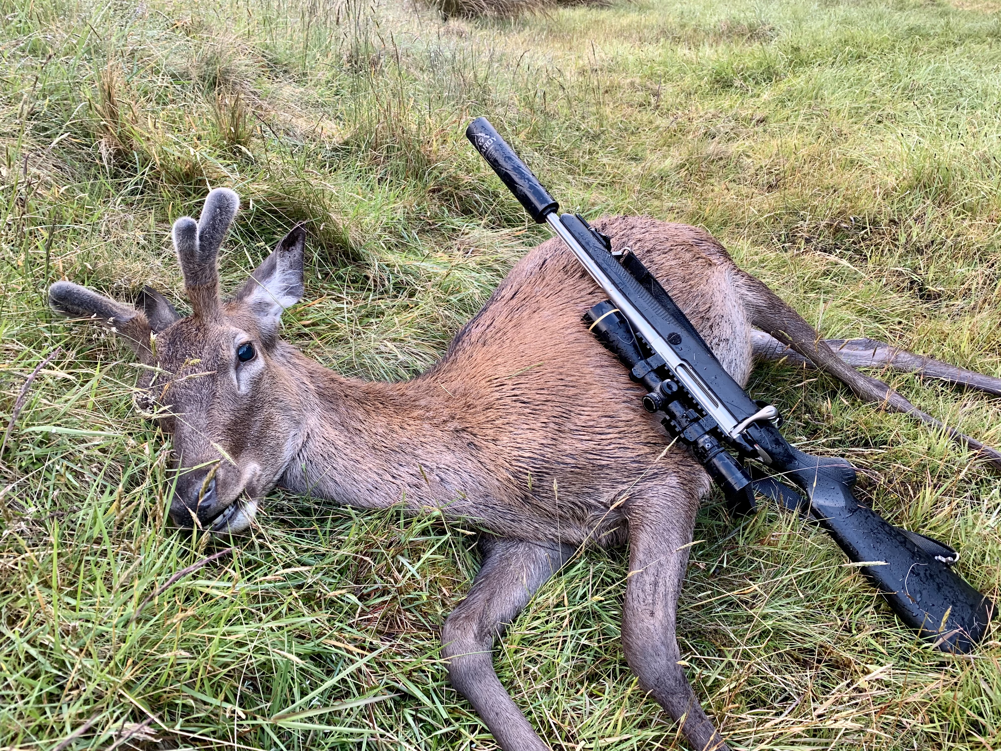 Name:  tikka3.jpg
Views: 1296
Size:  5.57 MB