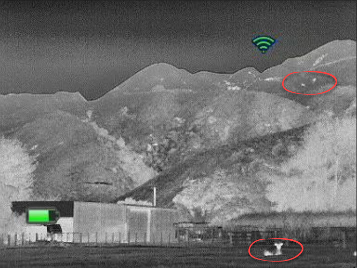 Name:  deer-thermal.jpg
Views: 1111
Size:  77.7 KB