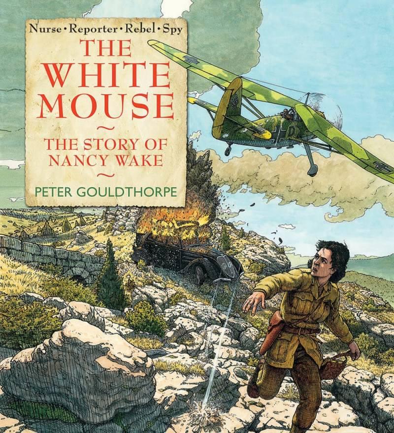 Name:  white-mouse.jpg
Views: 118
Size:  178.3 KB