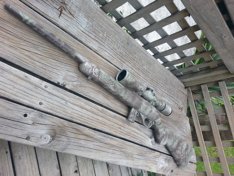 Name:  HIIIIIYA rifle.jpg
Views: 195
Size:  284.0 KB