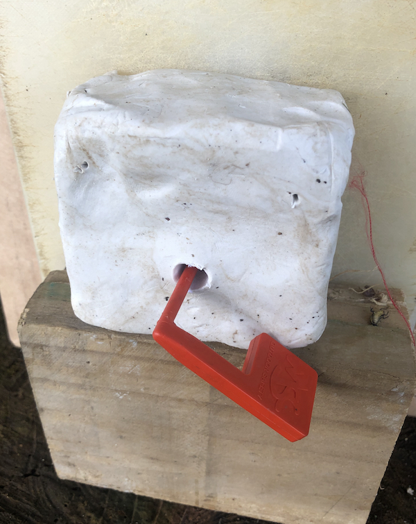Name:  06A Clay w probe 600.jpeg
Views: 353
Size:  449.2 KB