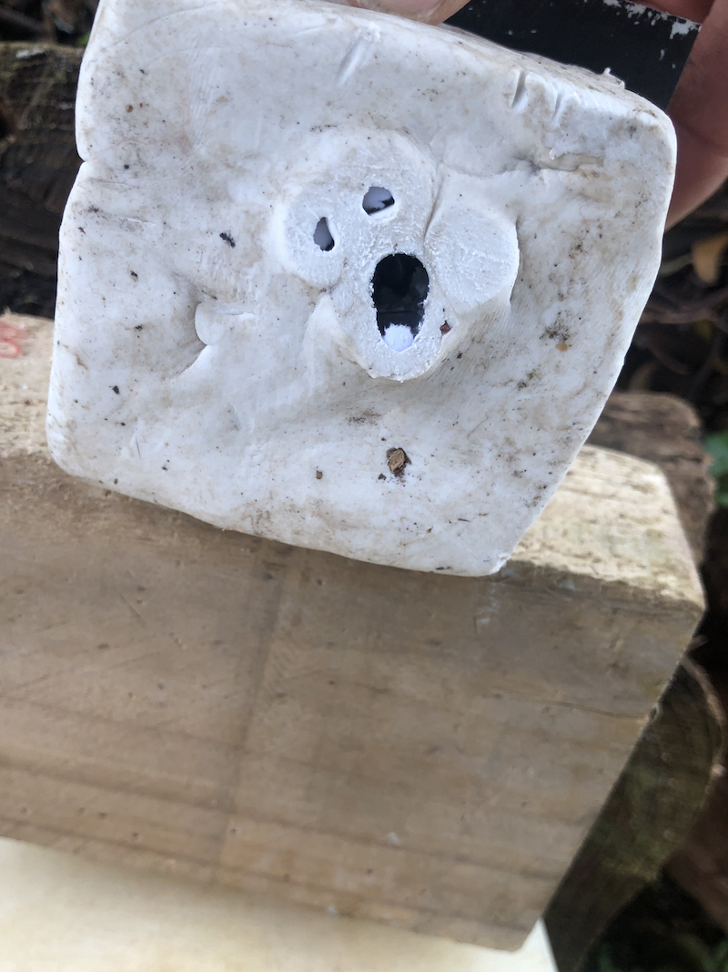 Name:  10 Pure Clay thick block back 5 shots 10m 800.jpeg
Views: 346
Size:  743.1 KB