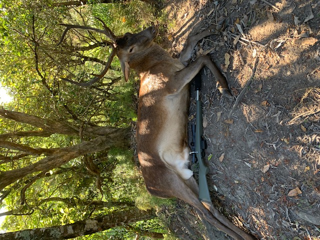 Name:  10pt.jpg
Views: 900
Size:  181.0 KB