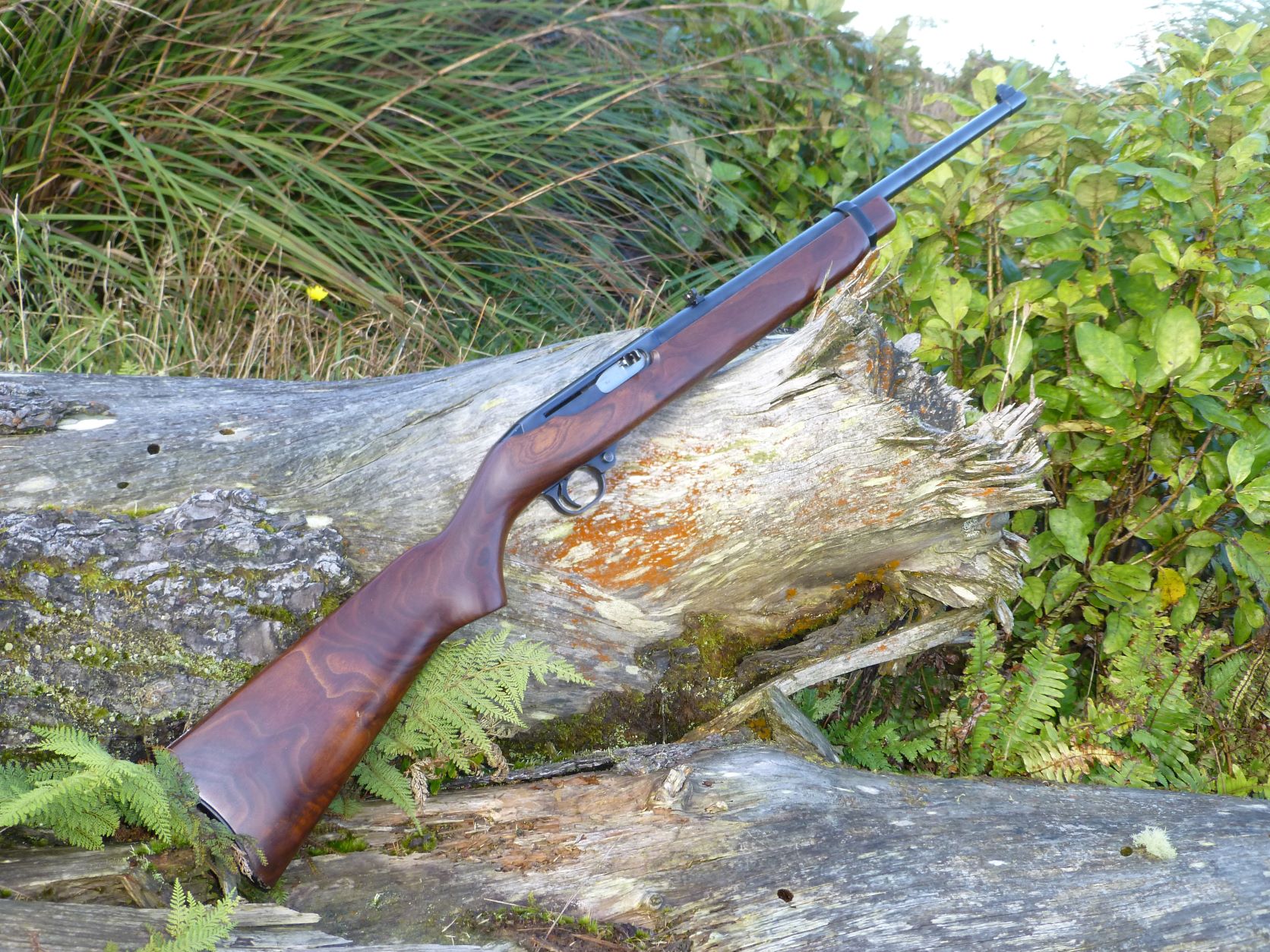 Name:  Ruger .JPG
Views: 413
Size:  526.9 KB