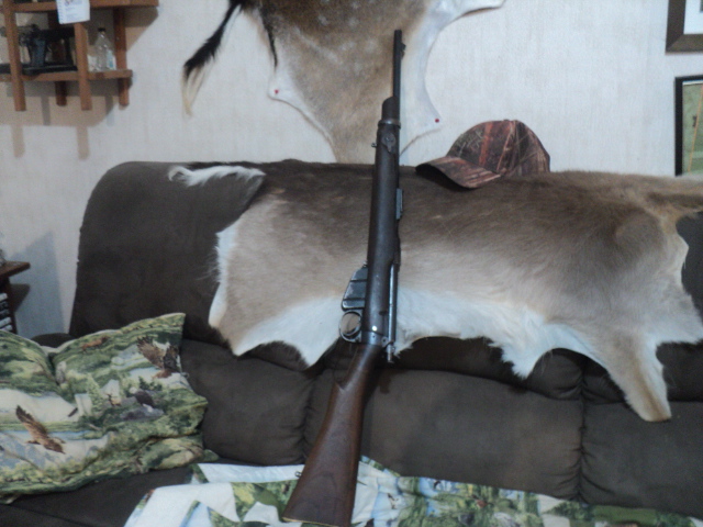 Name:  picture 01 5649.jpg
Views: 776
Size:  164.8 KB