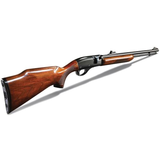 Name:  The-Legendary-Remington-552-Speedmaster-2.jpg
Views: 395
Size:  91.4 KB