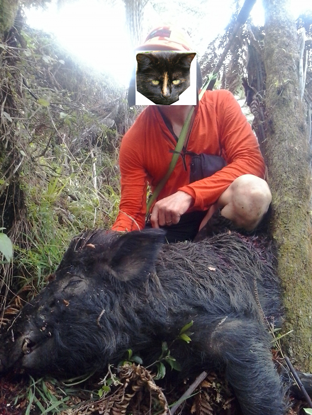 Name:  Pg 640.jpg
Views: 805
Size:  395.1 KB