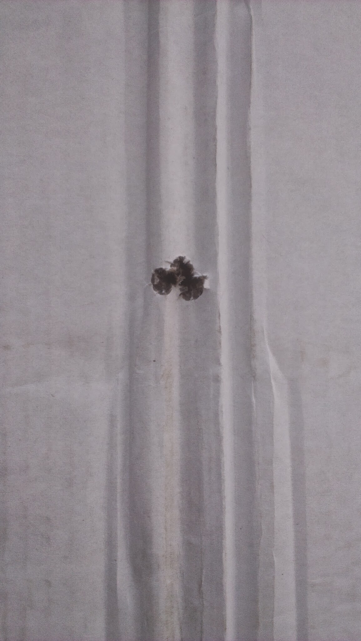 Name:  IMAG0480.jpg
Views: 997
Size:  261.9 KB