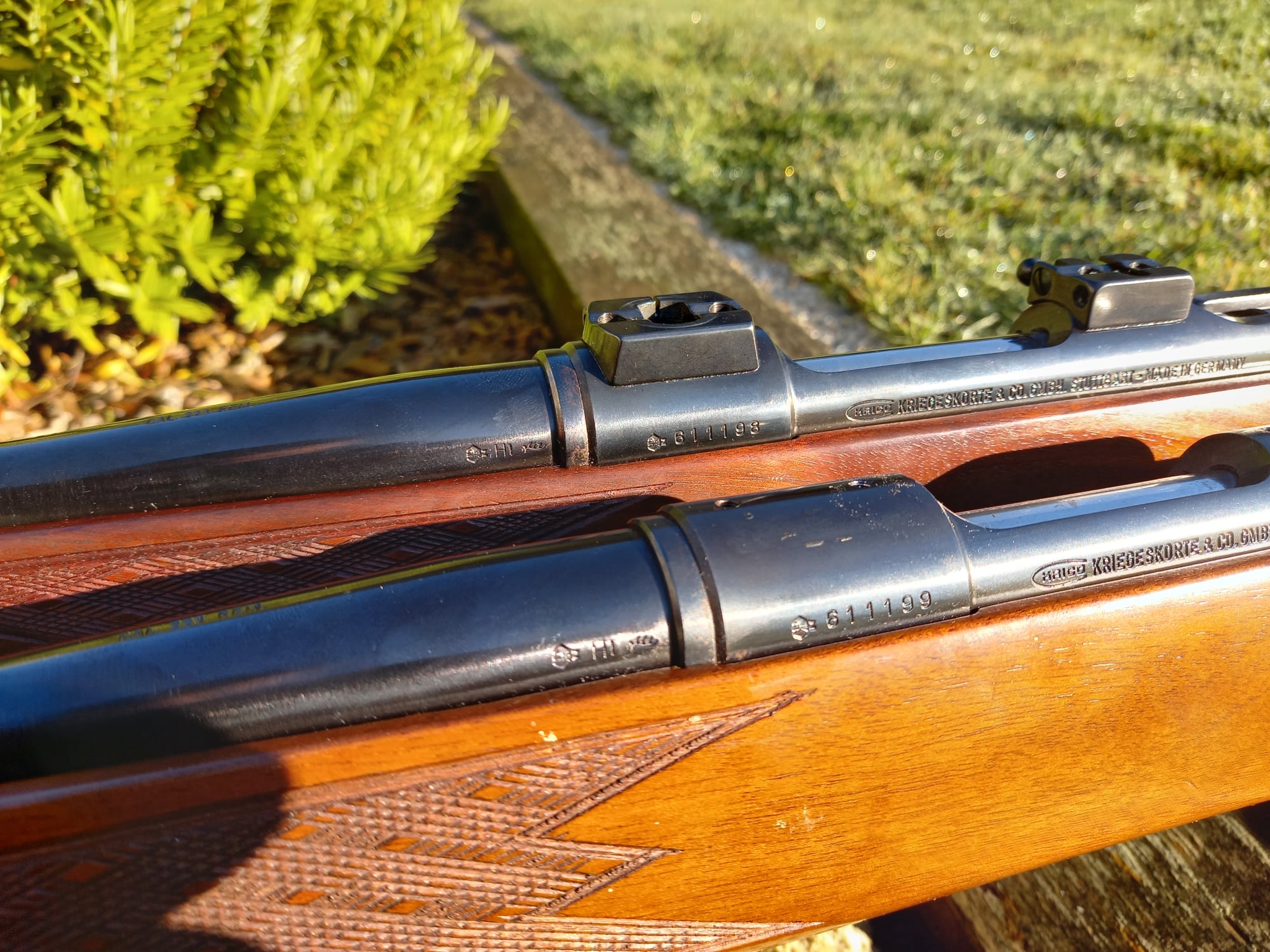 NZ Hunting and Shooting Forums