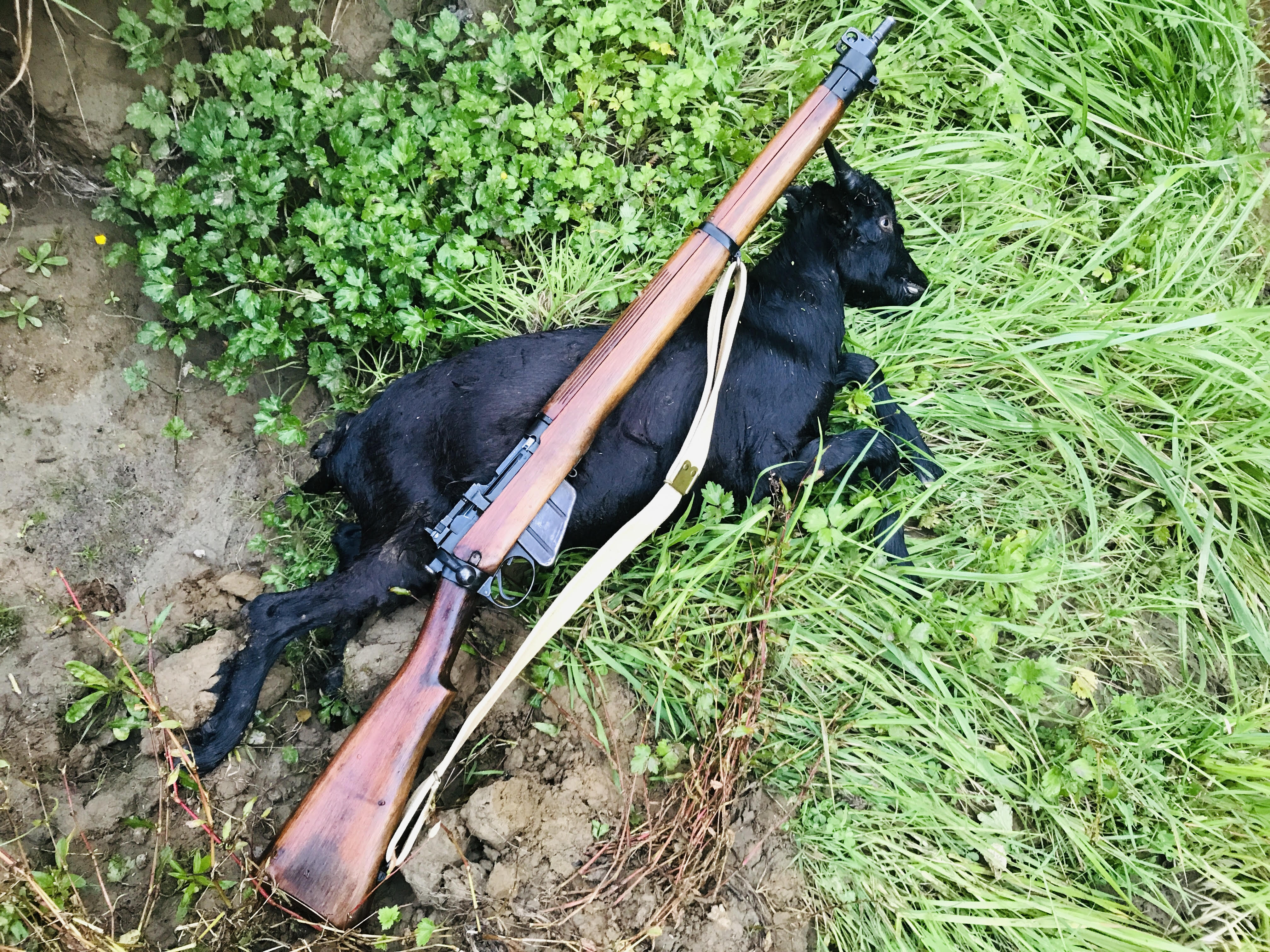 Name:  LEE_Enfield_N04-1.jpg
Views: 816
Size:  2.26 MB