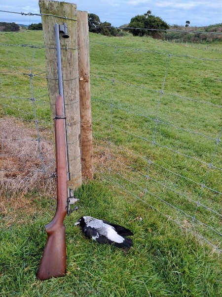NZ Hunting and Shooting Forums