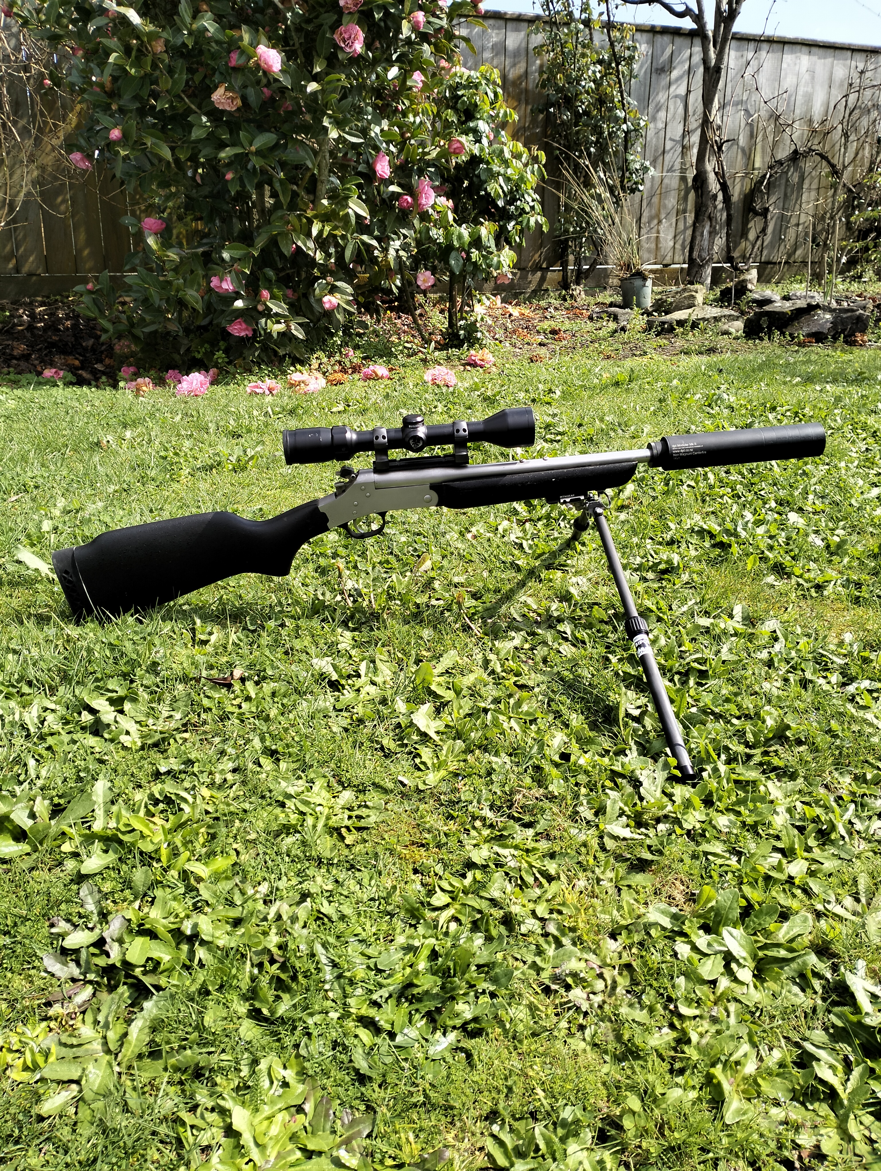 Name:  Rossi and MTN bipod (4).jpg
Views: 668
Size:  7.28 MB