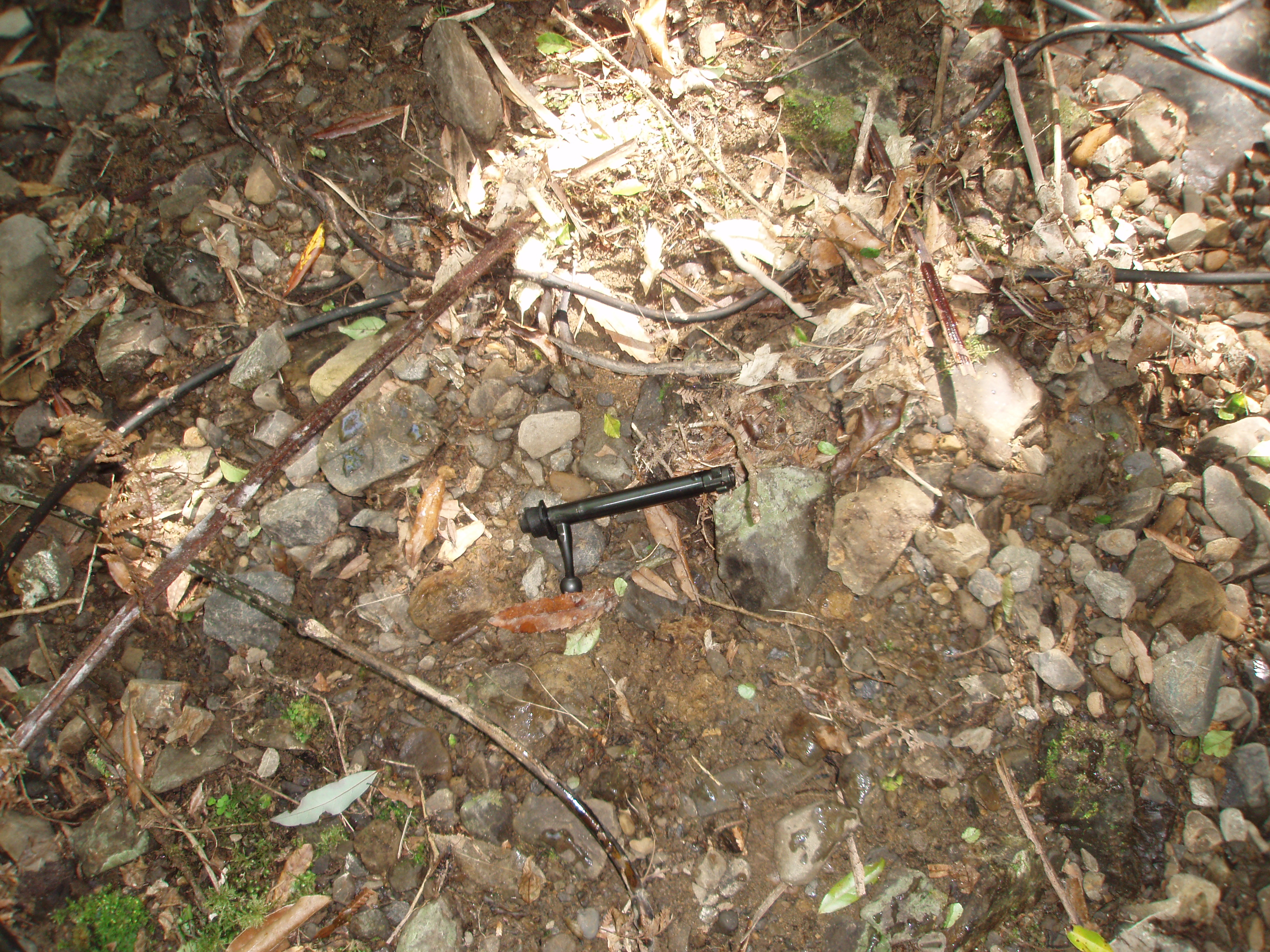 Name:  P2192299.JPG
Views: 405
Size:  3.17 MB