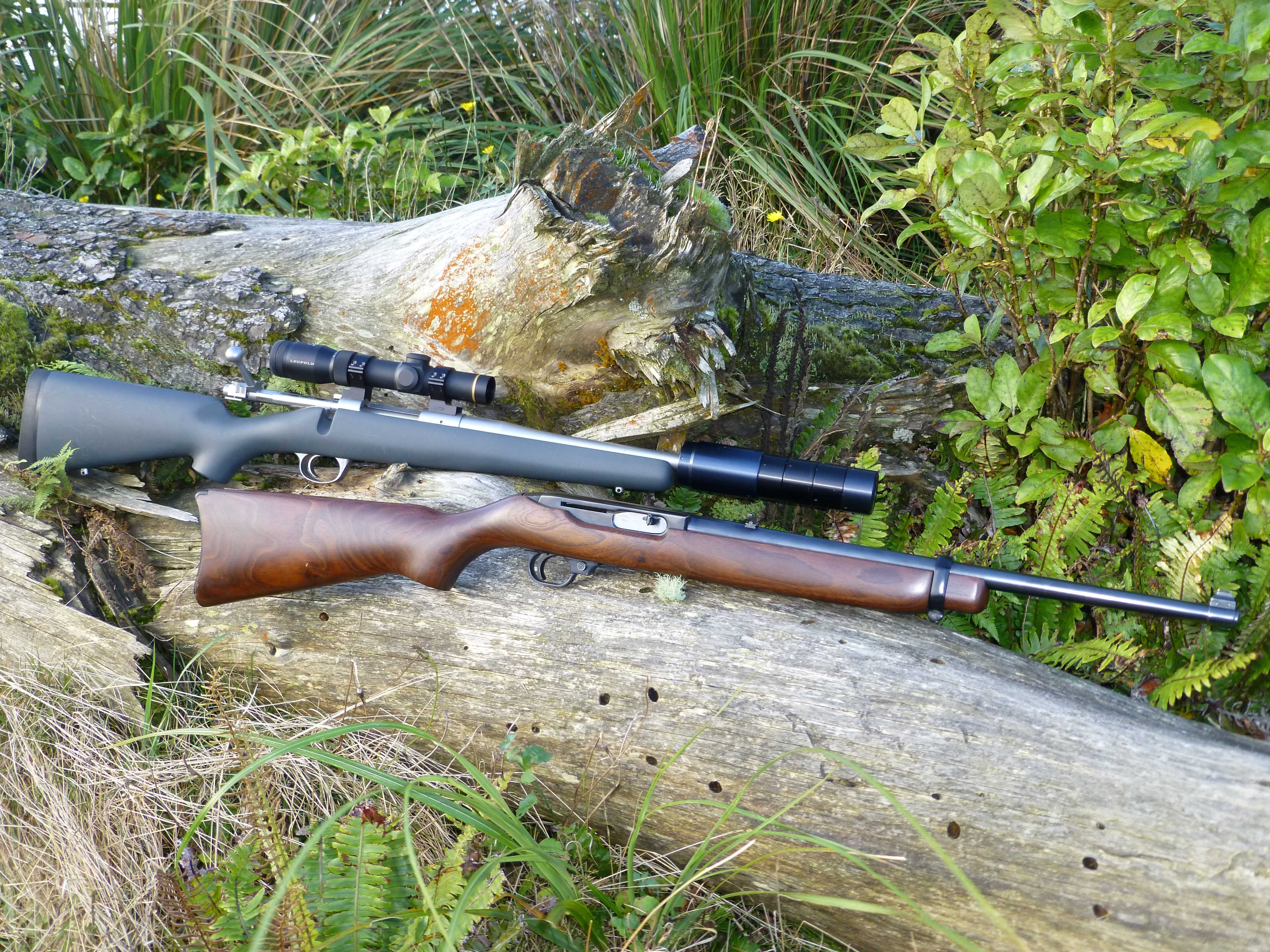 Name:  Bush stumpies .jpg
Views: 753
Size:  1.68 MB