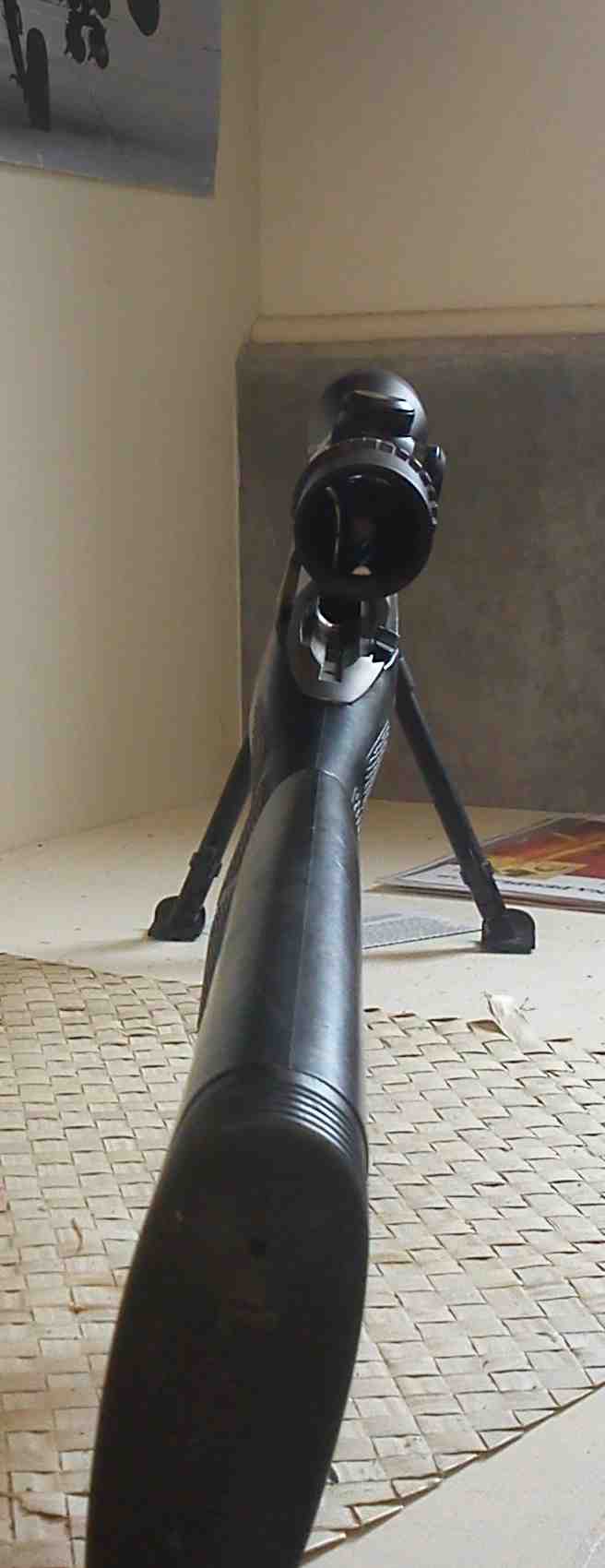 Name:  DSC00335.jpg
Views: 1916
Size:  47.7 KB