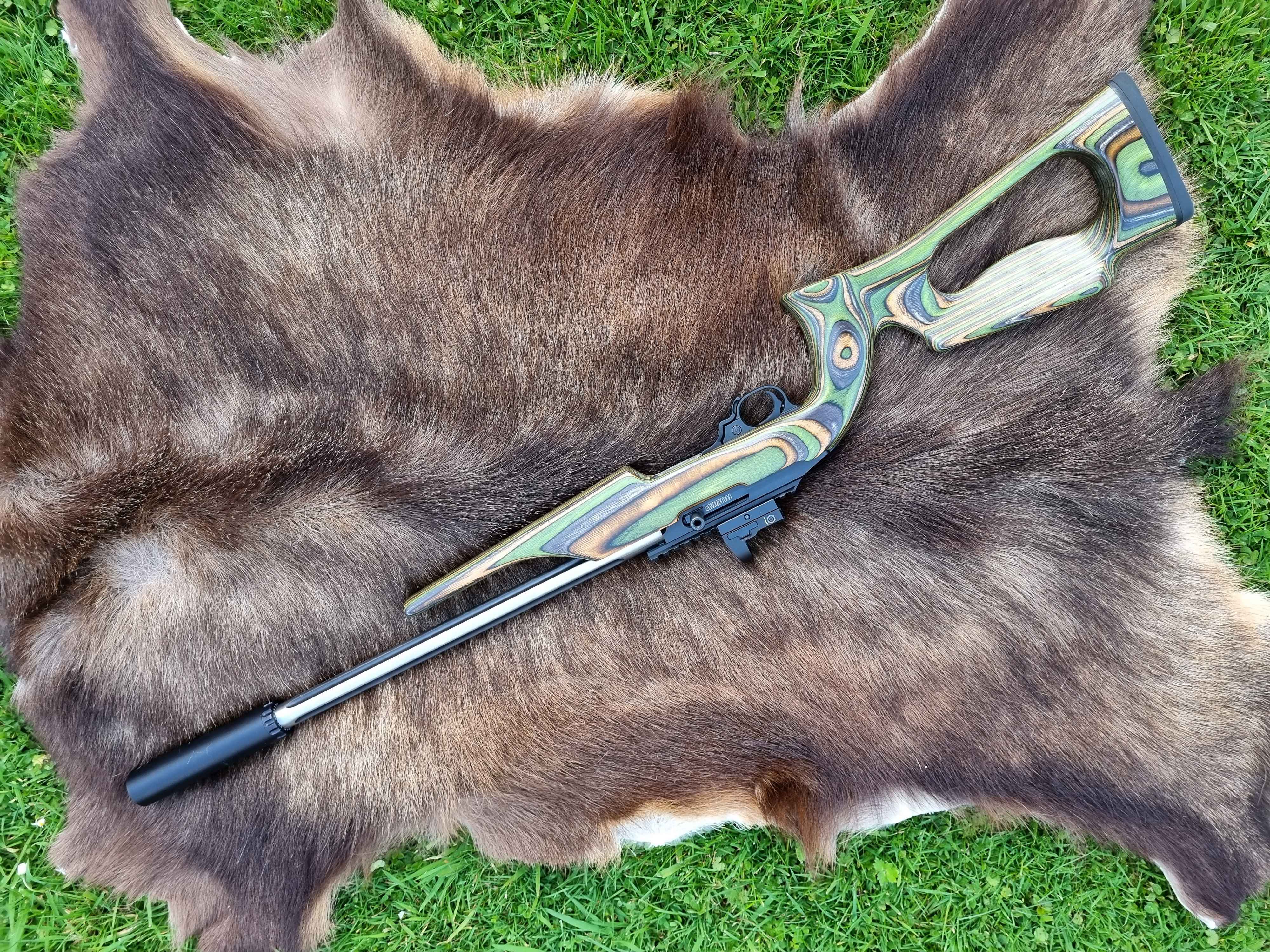 Name:  Ruger 10-22.jpg
Views: 430
Size:  2.01 MB