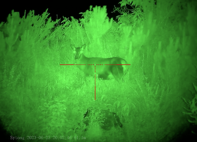 Name:  Screenshot 2024-10-11 at 10.56.16 PM.png
Views: 612
Size:  190.6 KB