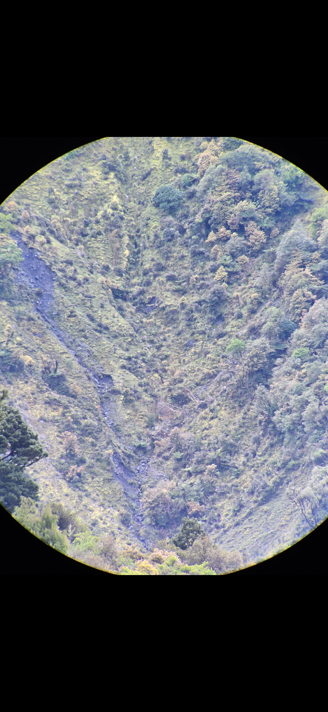 Name:  Screenshot_20241105_140101_Gallery.jpg
Views: 160
Size:  1.42 MB