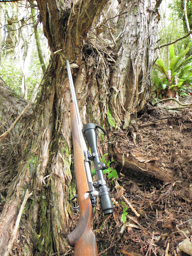 Name:  Ruger.JPG
Views: 411
Size:  273.2 KB