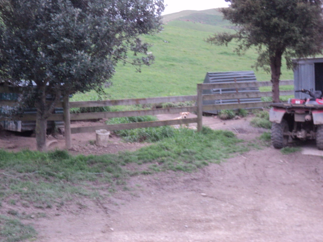 Name:  picture 4229.jpg
Views: 680
Size:  164.3 KB