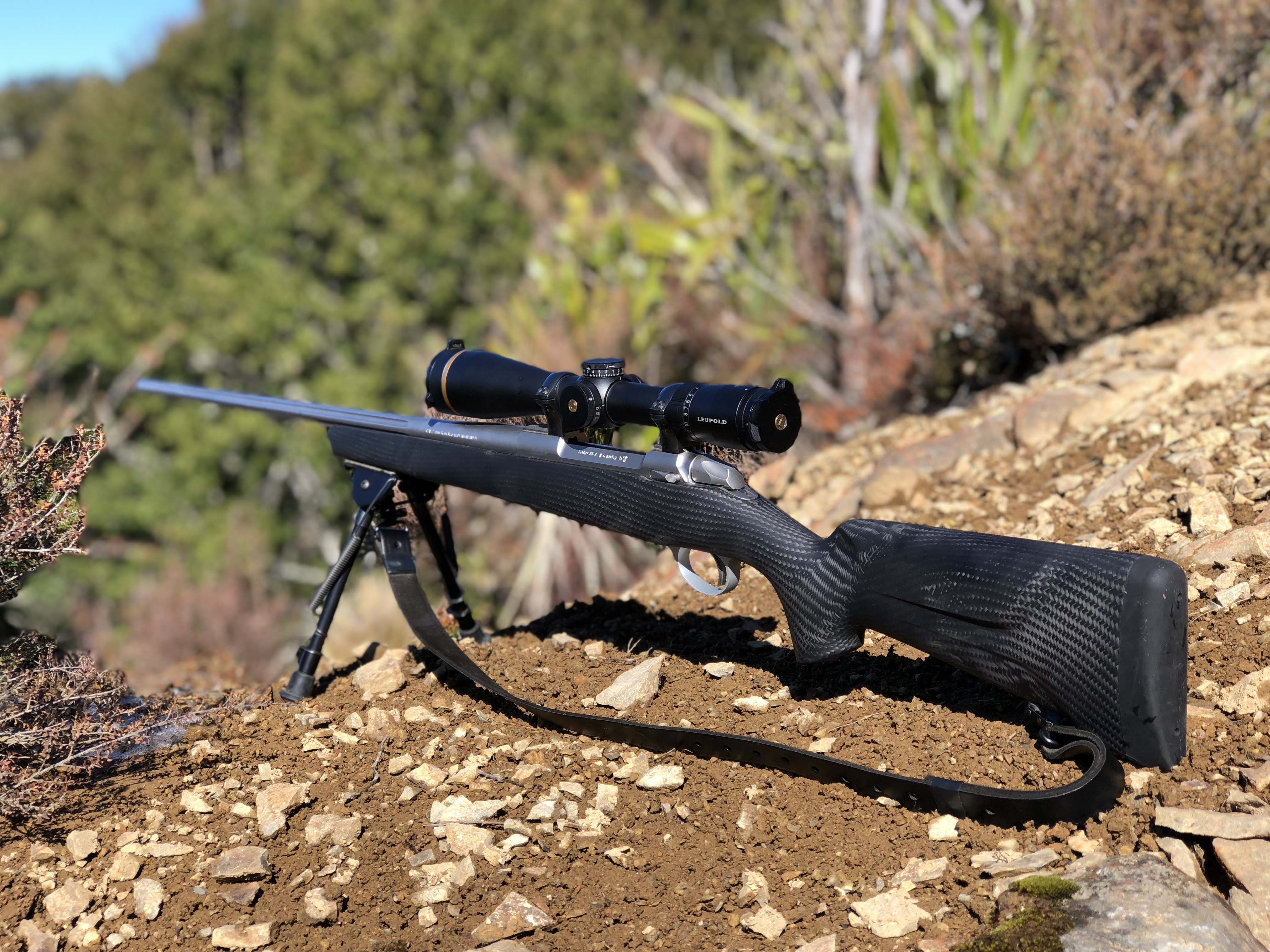 Name:  IMG_4567.jpeg
Views: 570
Size:  3.30 MB