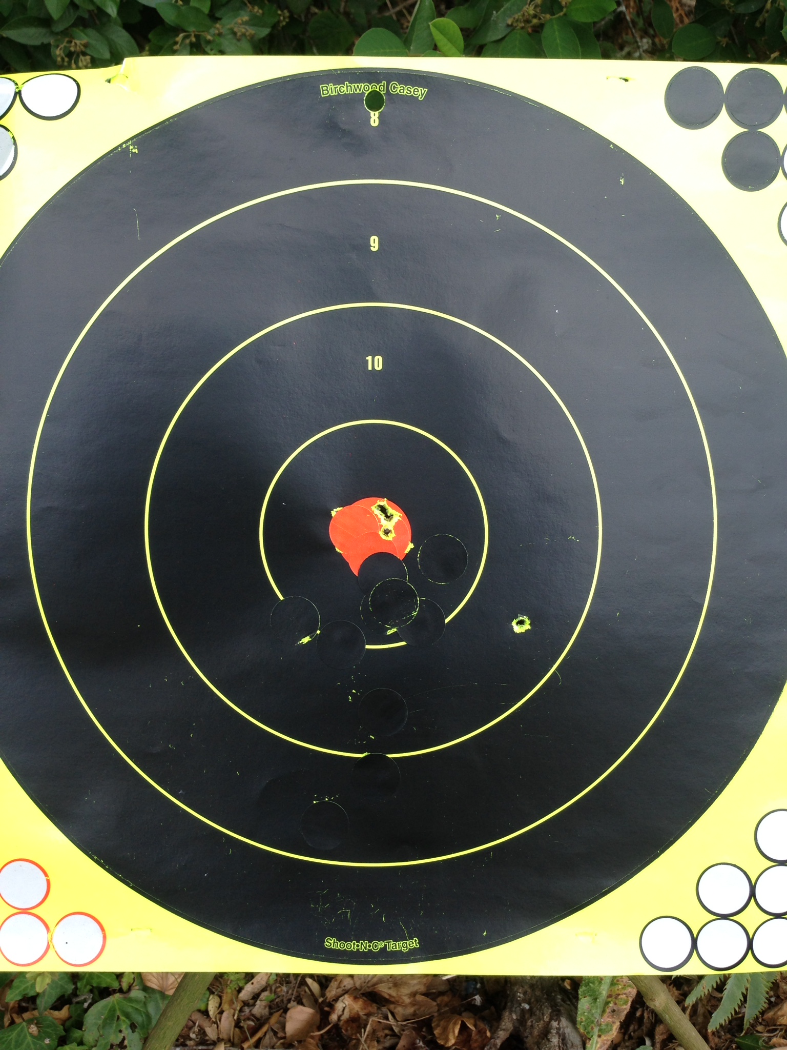 Name:  gun3.JPG
Views: 781
Size:  811.2 KB