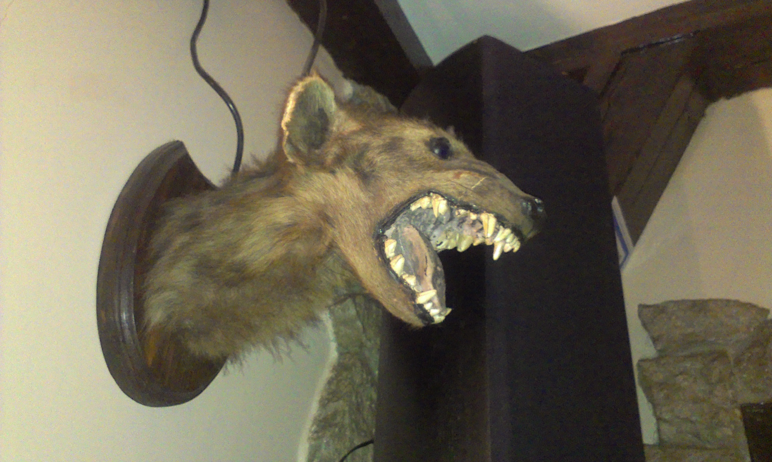 Name:  IMAG0225.jpg
Views: 1308
Size:  802.4 KB