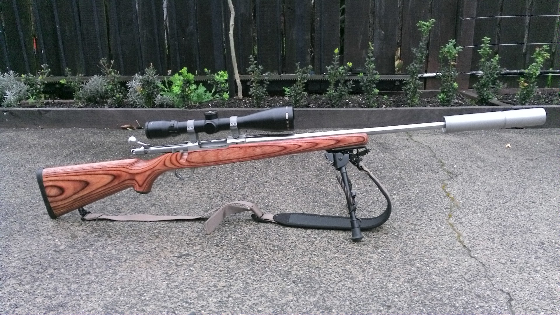 Name:  Ruger M77 MK11 .22-250 SS Laminate 2.5-16x50  Bushnell Elite 6500 MAE CPBLS Suppressor.JPG
Views: 1149
Size:  673.9 KB