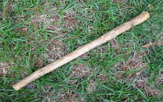 Name:  stick-of-devotees-mercy1.jpg
Views: 752
Size:  32.1 KB