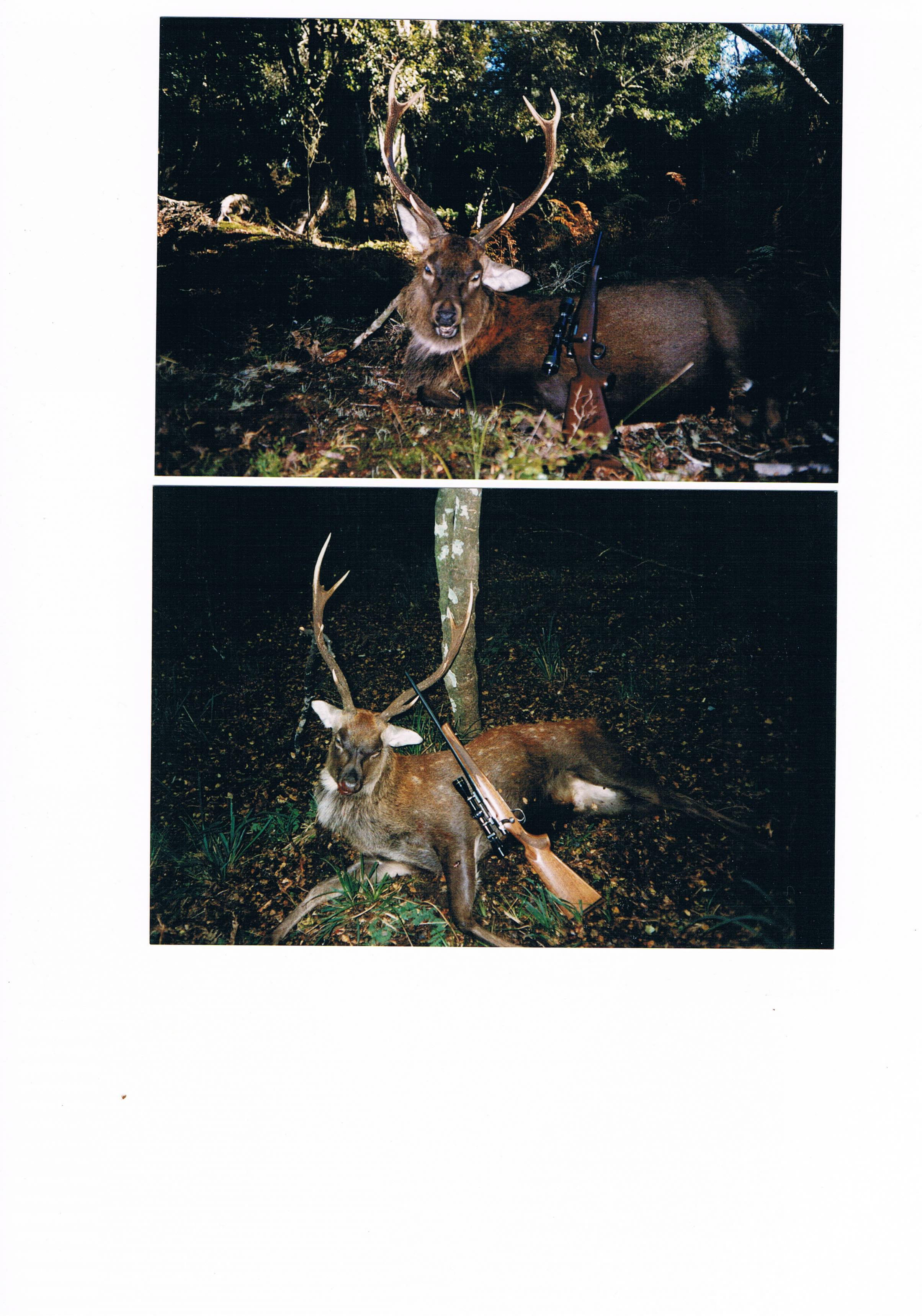 Name:  CCF19112015_00000.jpg
Views: 1926
Size:  769.8 KB
