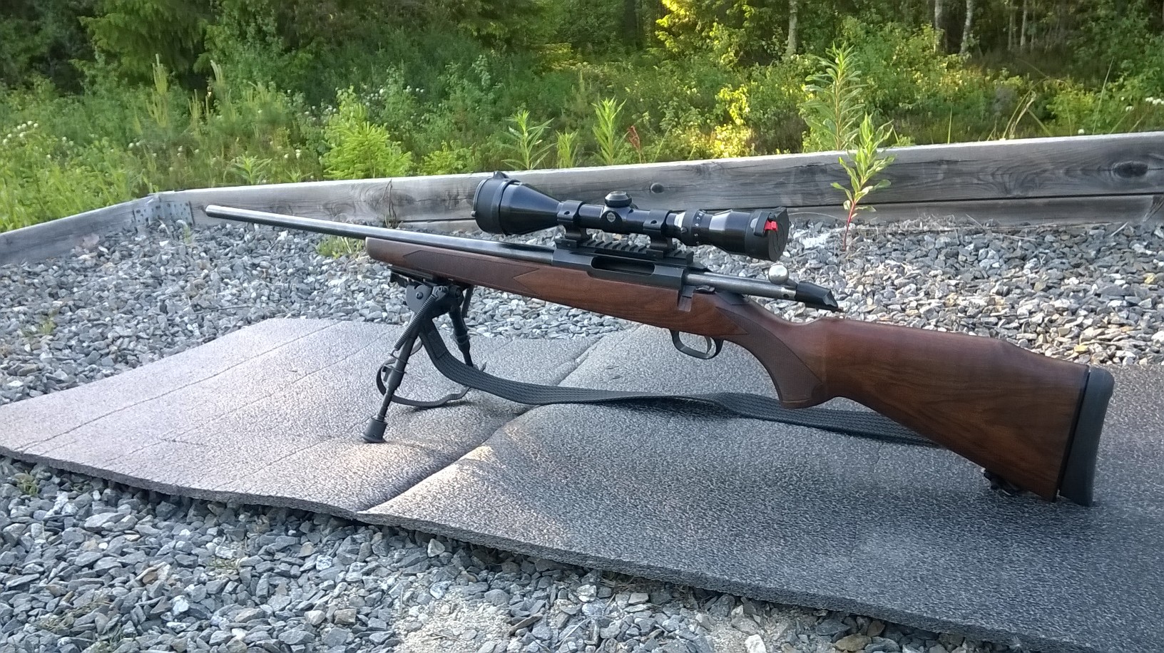 Name:  Rifle.jpg
Views: 914
Size:  664.2 KB