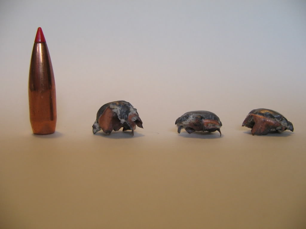 Name:  95grHornadyVMAX.jpg
Views: 5637
Size:  35.6 KB