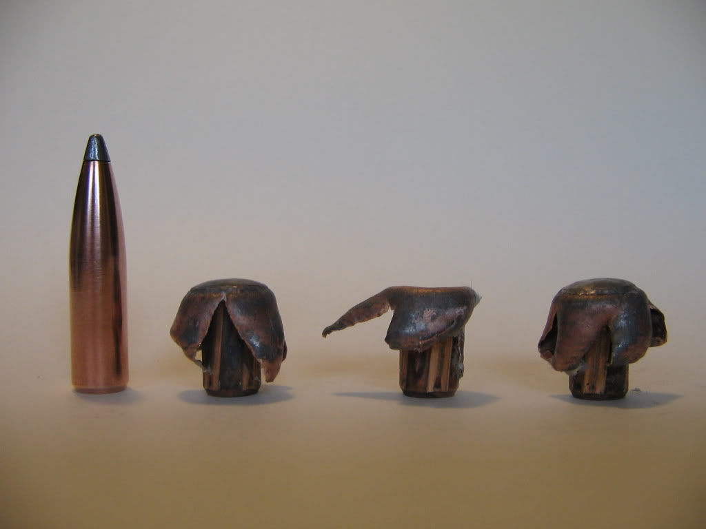 Name:  Nosler125grPT.jpg
Views: 5075
Size:  38.1 KB