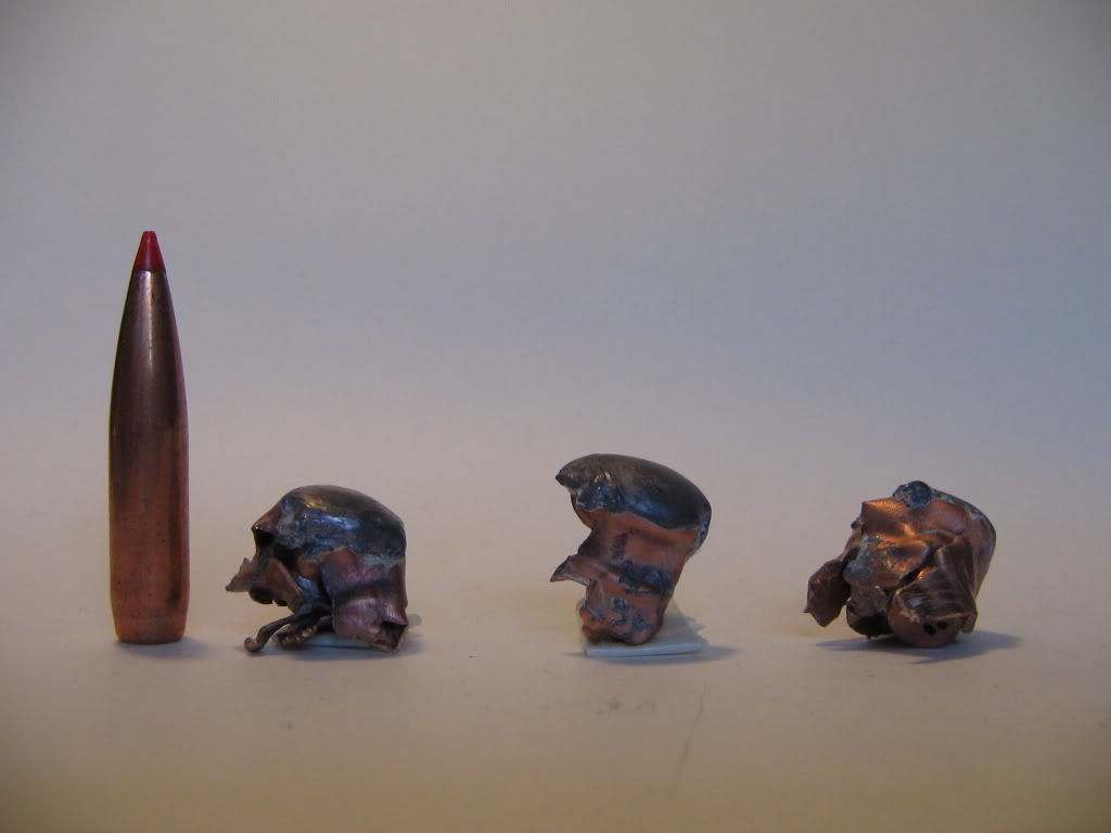 Name:  Hornady140grA-Max.jpg
Views: 4552
Size:  39.5 KB