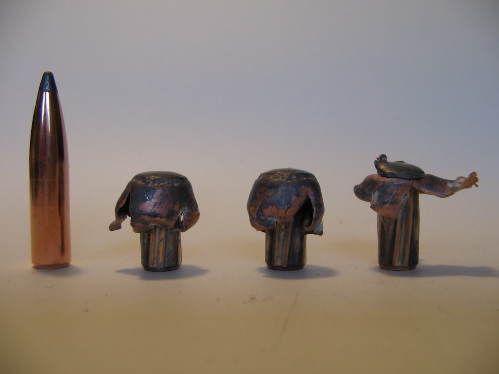 Name:  Nosler140grPT.jpg
Views: 4495
Size:  43.4 KB