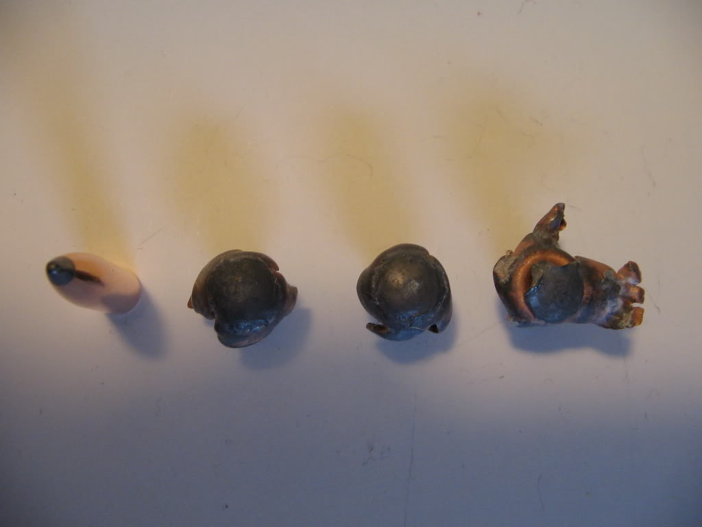 Name:  Nosler140PT.jpg
Views: 4301
Size:  38.9 KB