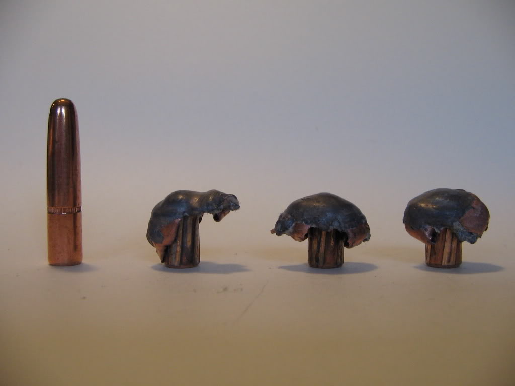 Name:  Hornady160grRNSP.jpg
Views: 5210
Size:  37.6 KB
