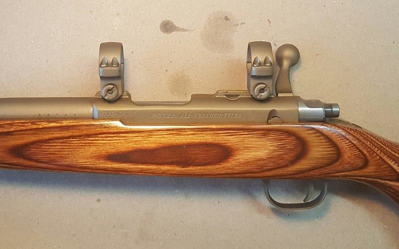Name:  Ruger 7722 .22WMR Cerakote 1.jpg
Views: 2059
Size:  60.4 KB