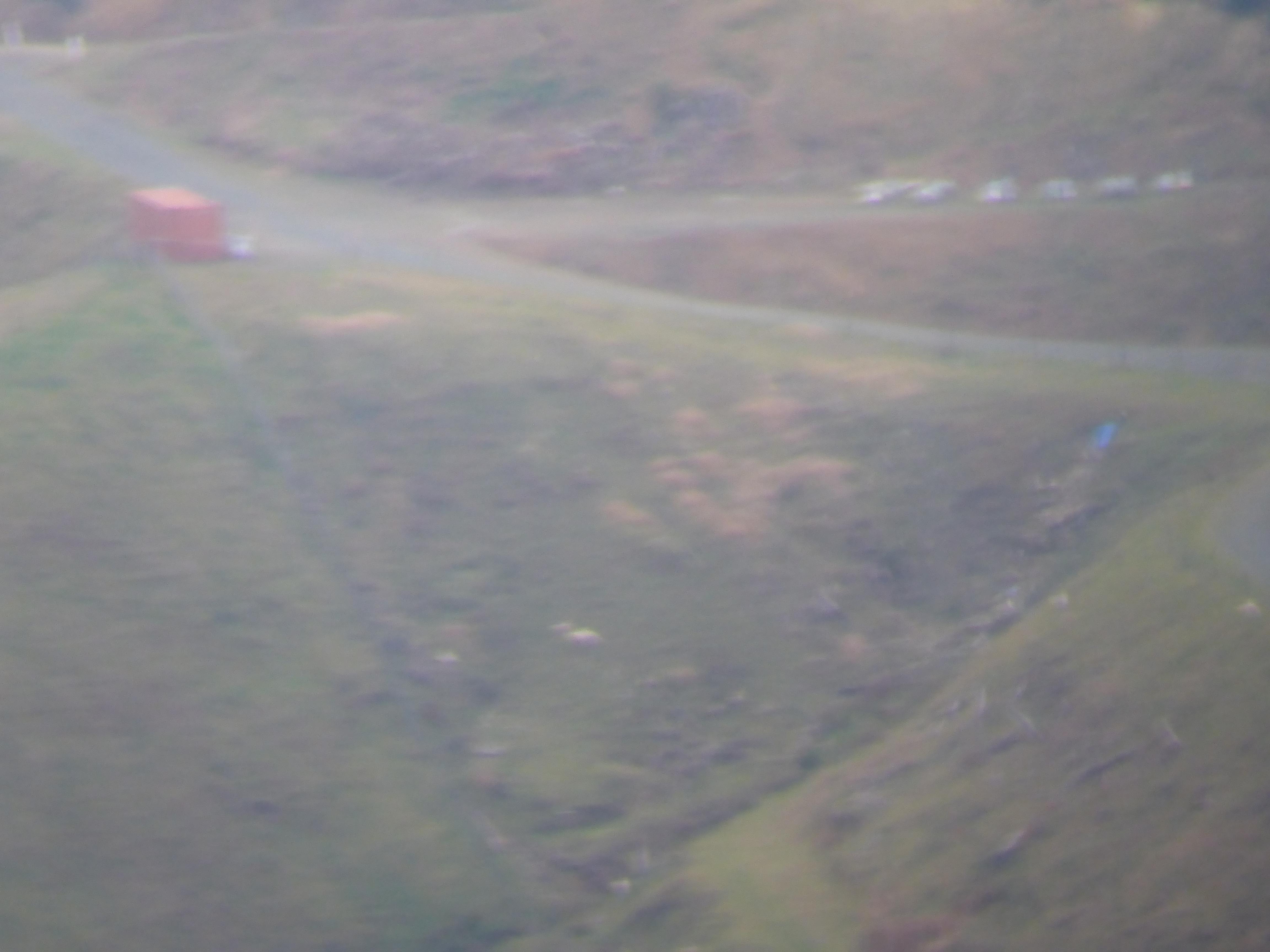 Name:  P1010216.jpg
Views: 484
Size:  791.2 KB