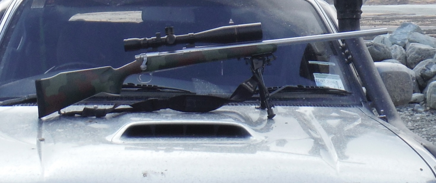 Name:  rifle.jpg
Views: 185
Size:  208.3 KB