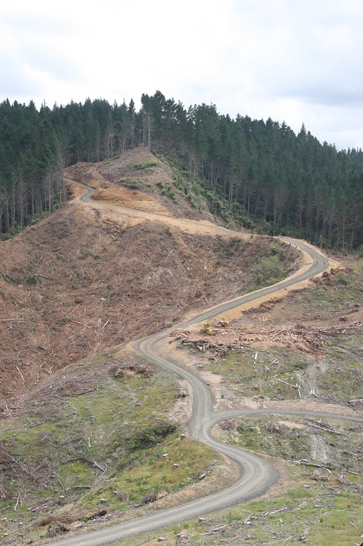 Name:  road.jpg
Views: 1535
Size:  205.5 KB