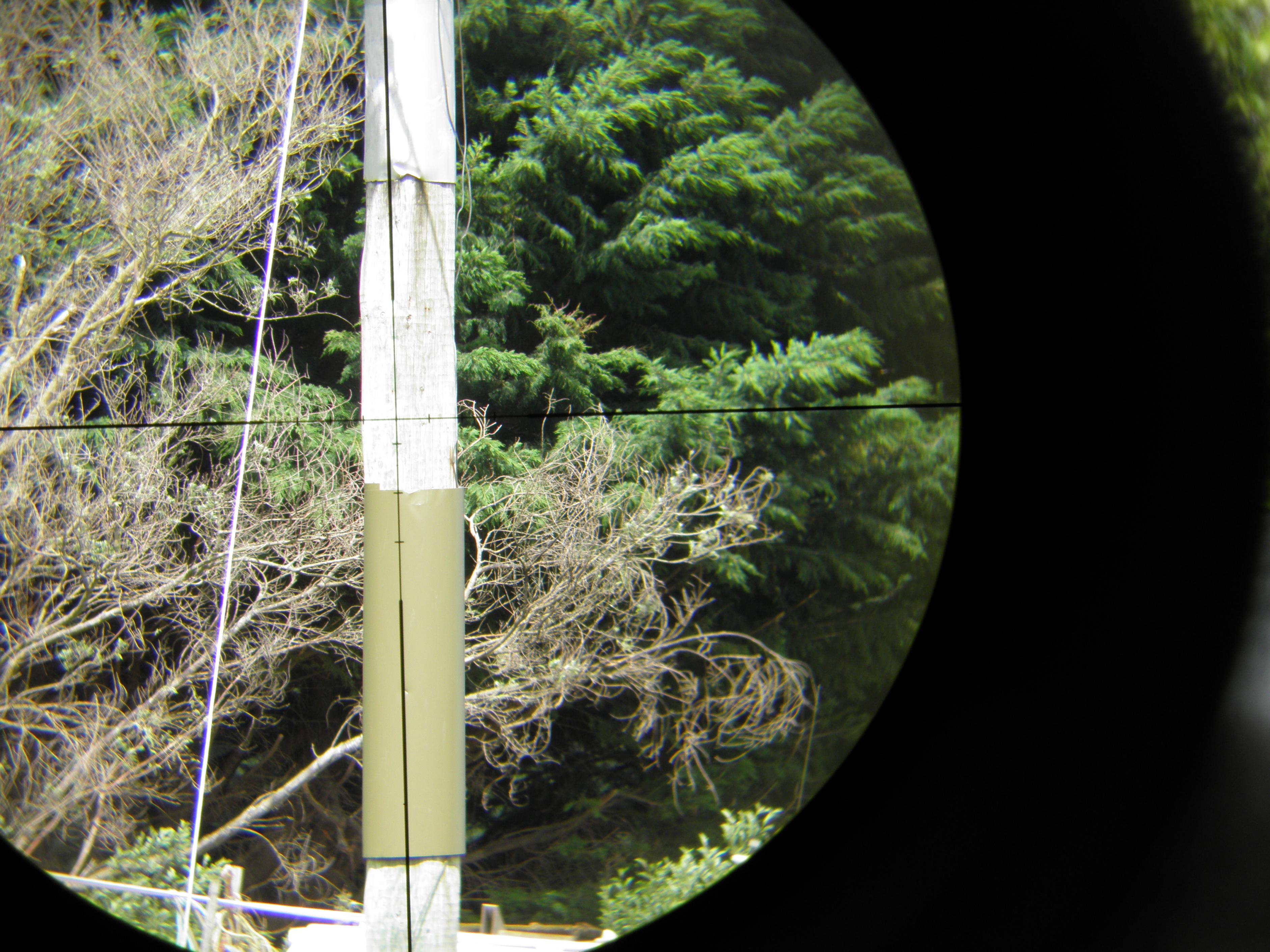 Name:  PB270173.jpg
Views: 1337
Size:  1.01 MB