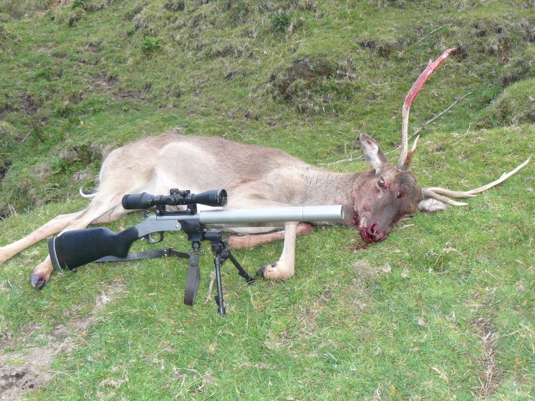 Name:  head shot.jpg
Views: 4104
Size:  202.9 KB