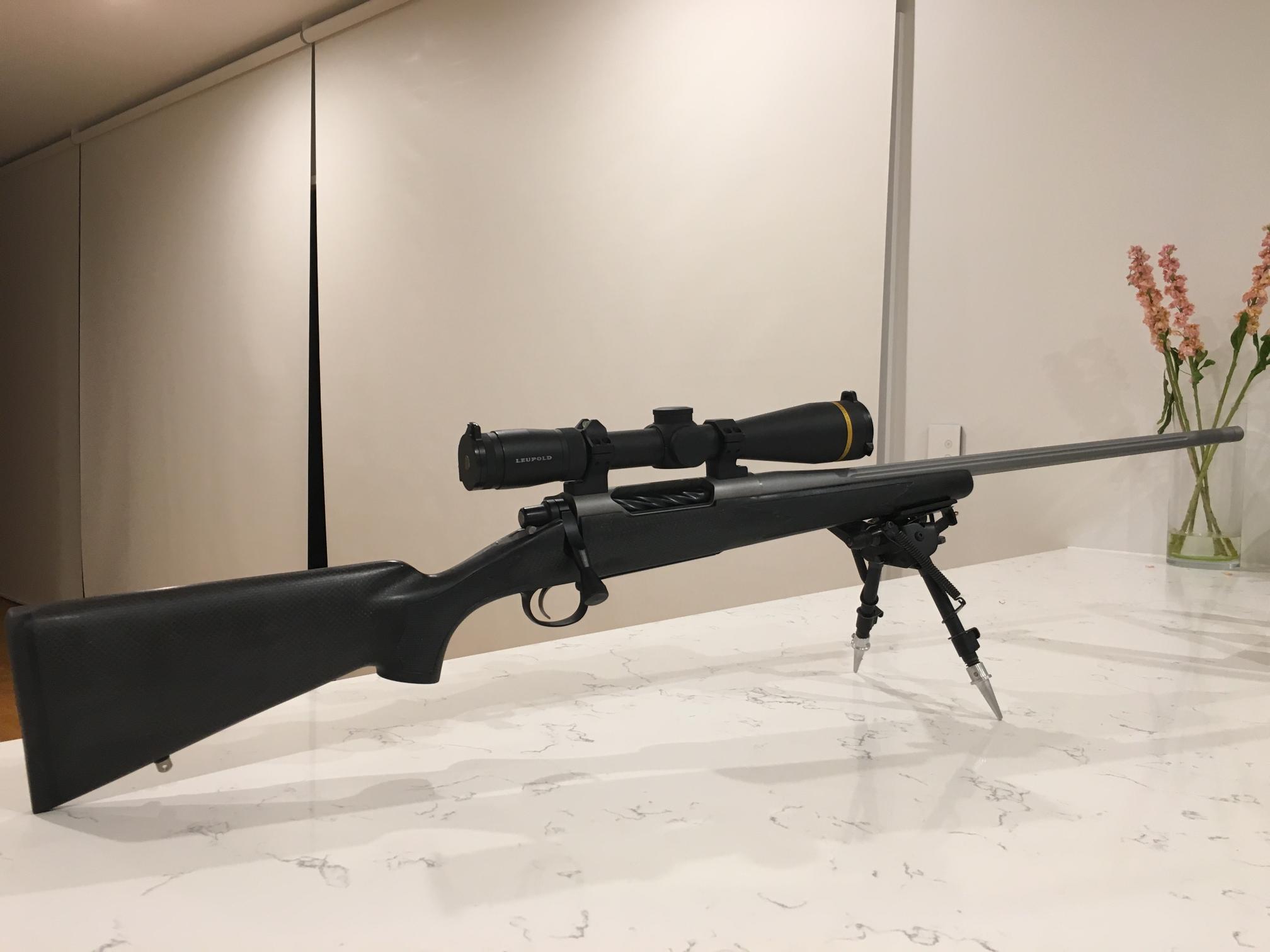 Name:  Rifle 1.JPG
Views: 1043
Size:  130.0 KB