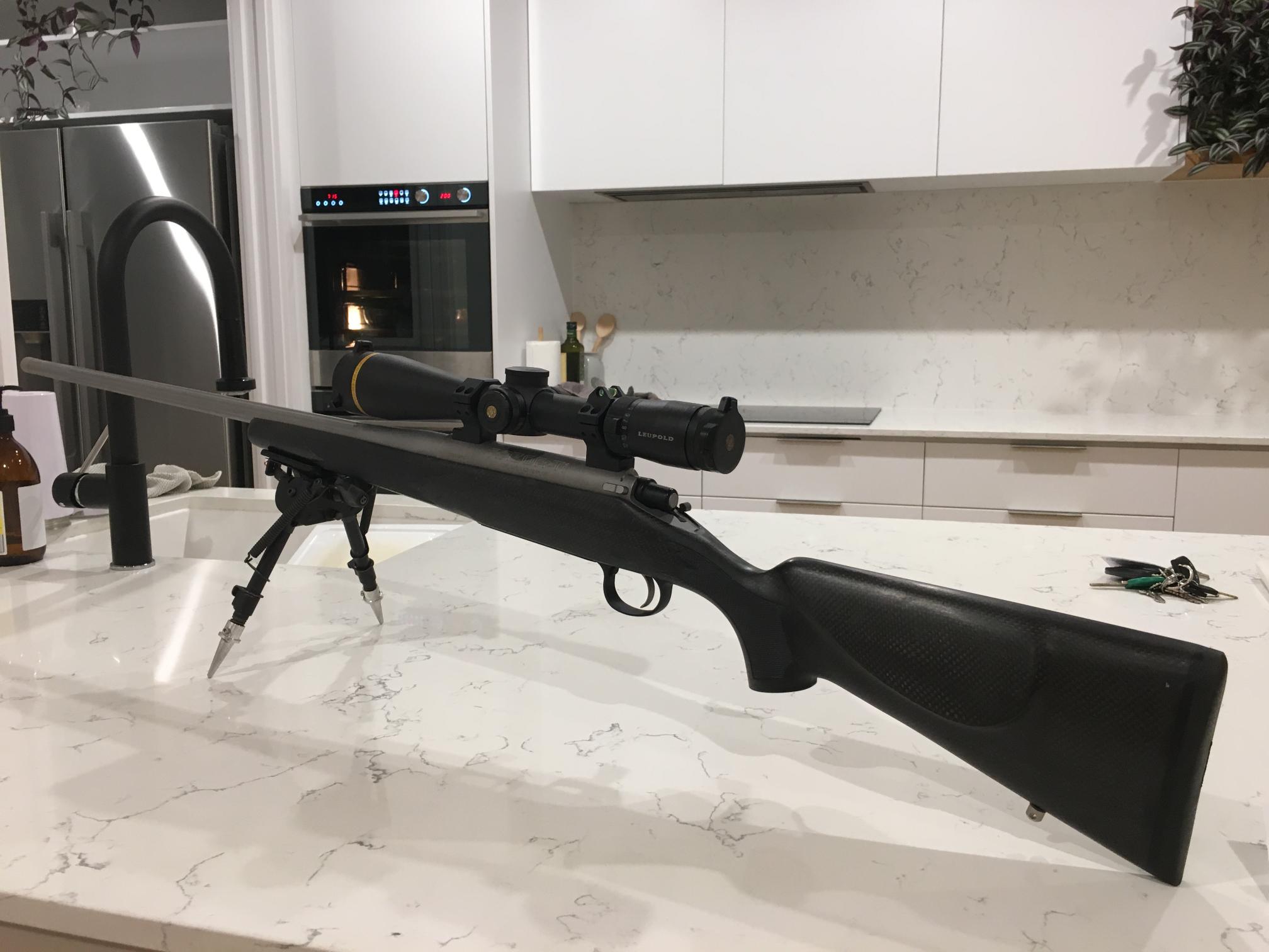 Name:  Rifle 3.JPG
Views: 494
Size:  179.9 KB