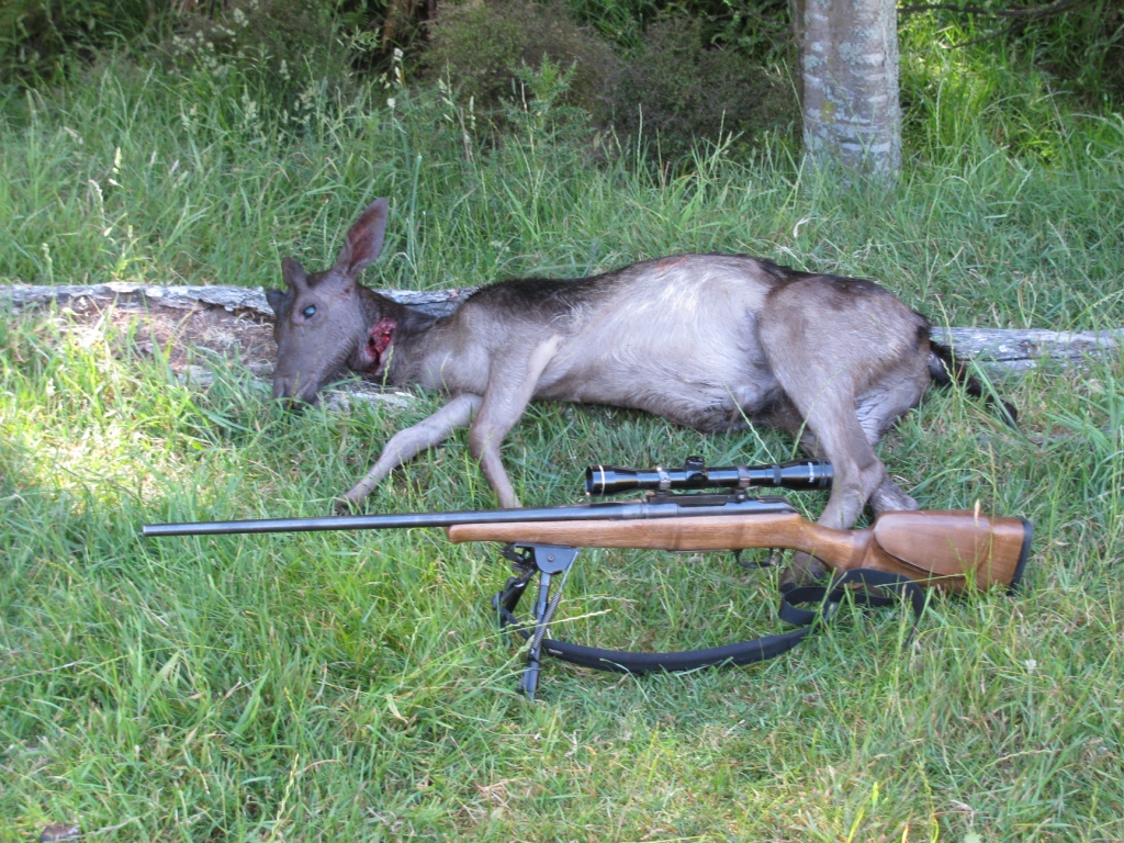 Name:  Spiker at farm (4).JPG
Views: 480
Size:  566.5 KB