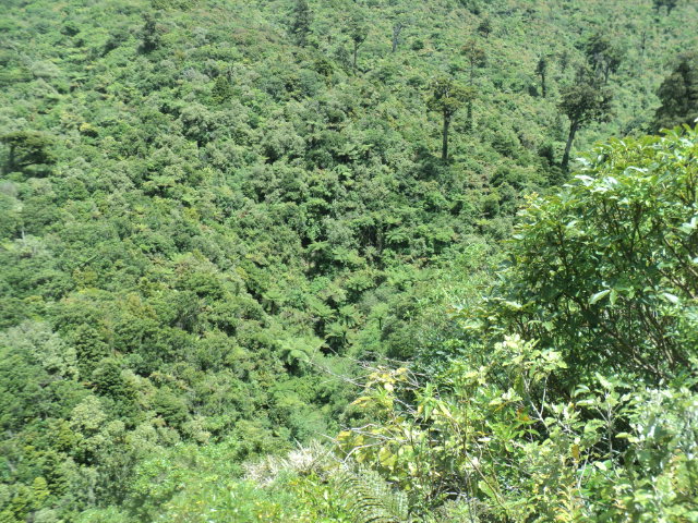 Name:  picture 01 2235.jpg
Views: 614
Size:  165.1 KB